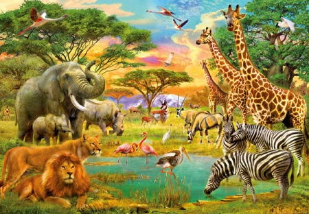 Fotomural Infantil 154 African Animals